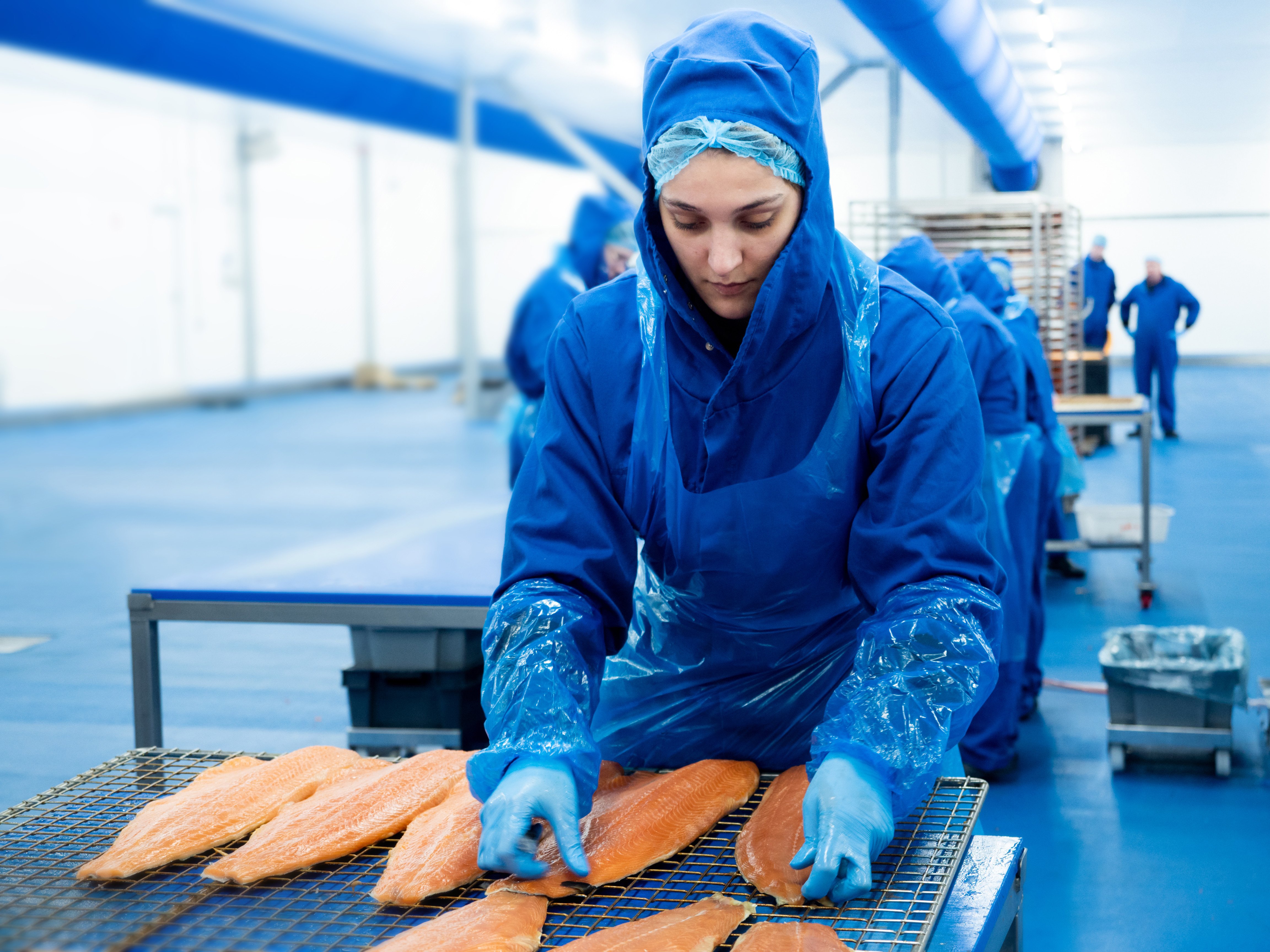 Rodé Vis blir Lerøy Seafood Netherlands